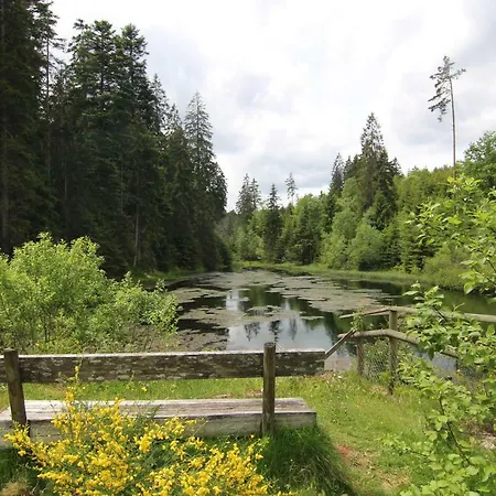 Enztalperle Appartamento *