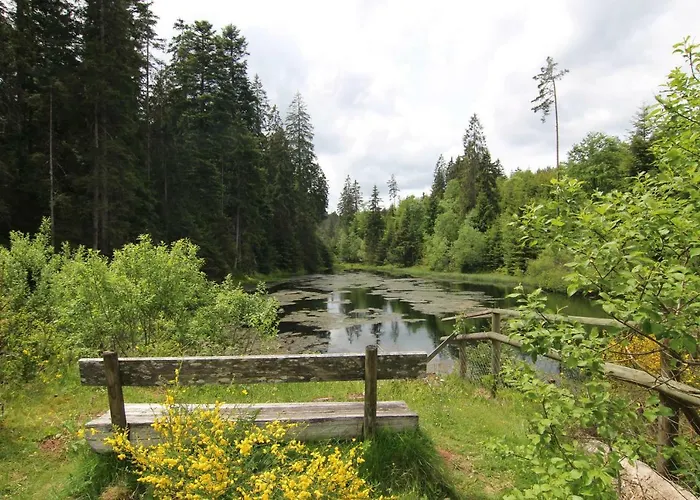 Enztalperle Appartement *